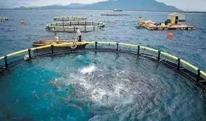 水產養殖新規出臺，是挑戰更是機遇 凈水漁業引領產業未來