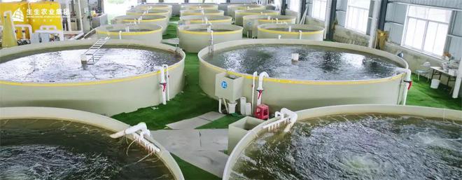 生生農業集團 打造全產業鏈閉環，實現水產養殖與全鏈路的深度賦能